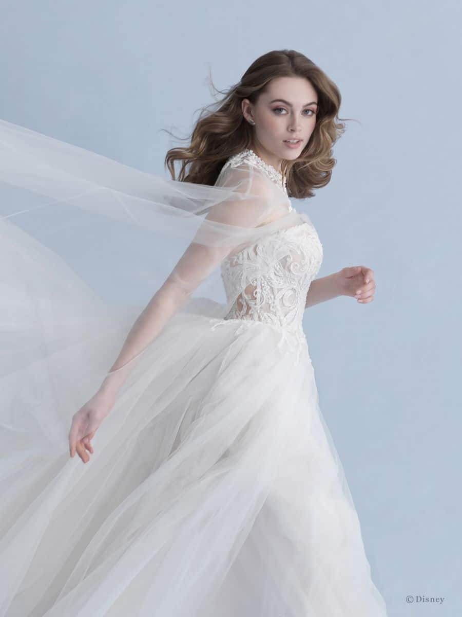 Full Look at New Disney Fairy Tale Weddings Collection of Princess-Inspired  Gowns ~ Daps Magic