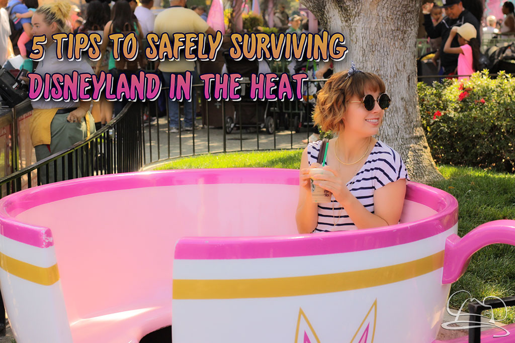 5 Tips to Safely Surviving Disneyland in the Heat