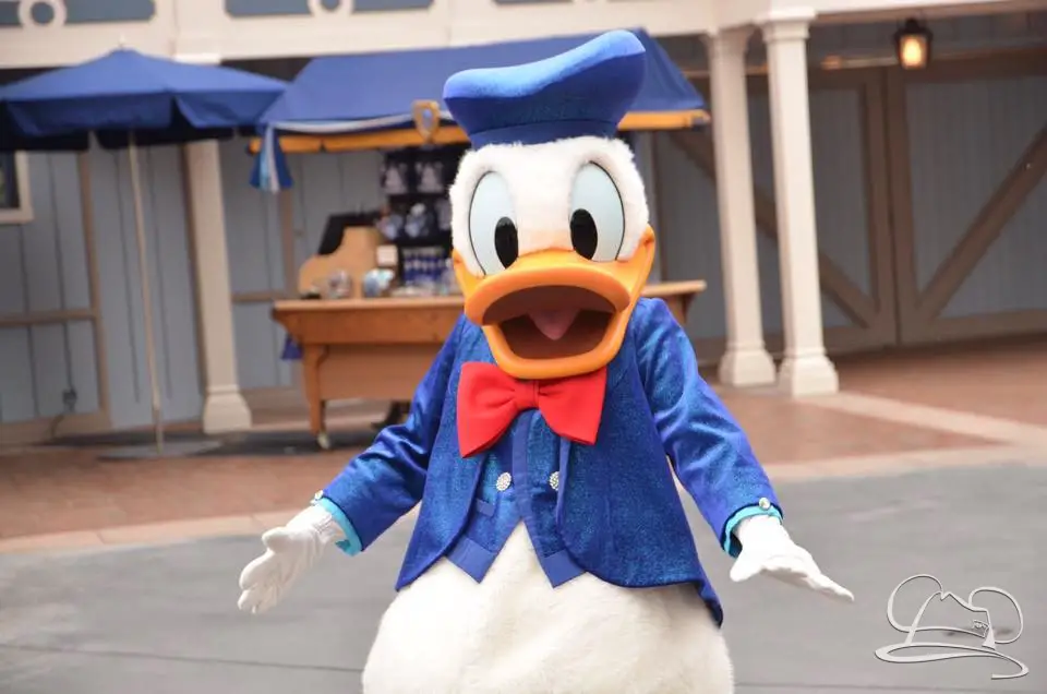 Donald Duck at Disneyland on his birthday. Photo courtesy of @Aika_mouse2737 on Instagram.