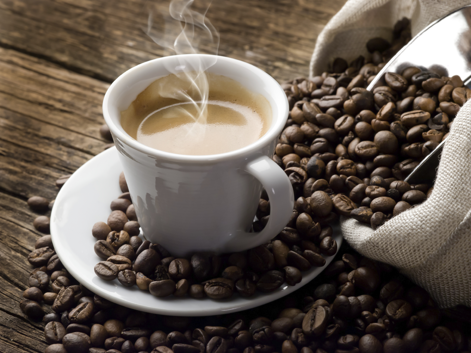 Coffee Tasting 101 – A Geeks Guide to Tasting & Enjoying Coffee