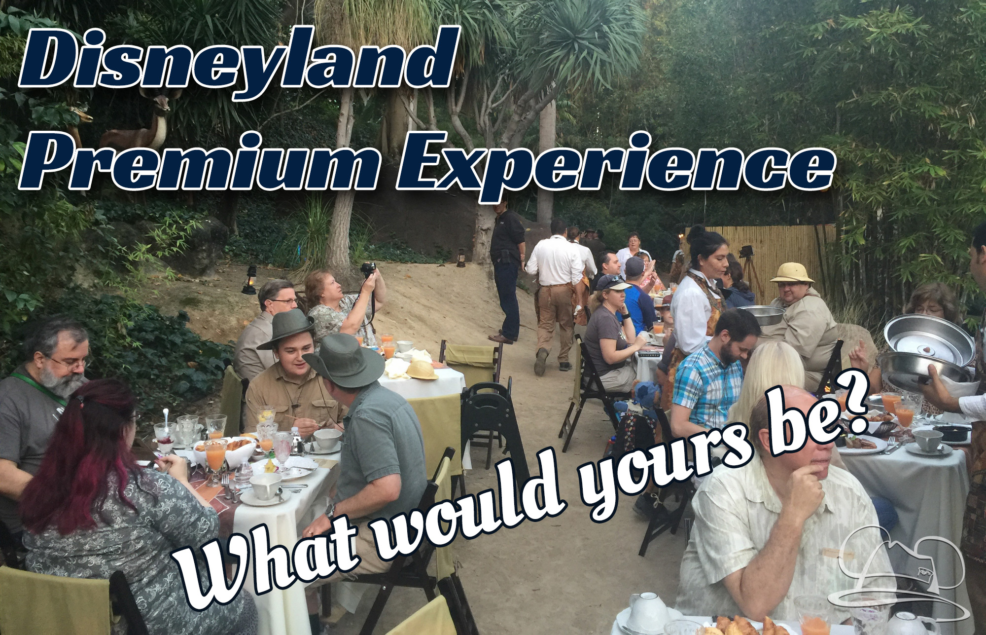 Disneyland Premium Experience – What Would You Want?