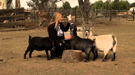 Disneyland’s Big Thunder Ranch Animals Find New Home in Murrieta