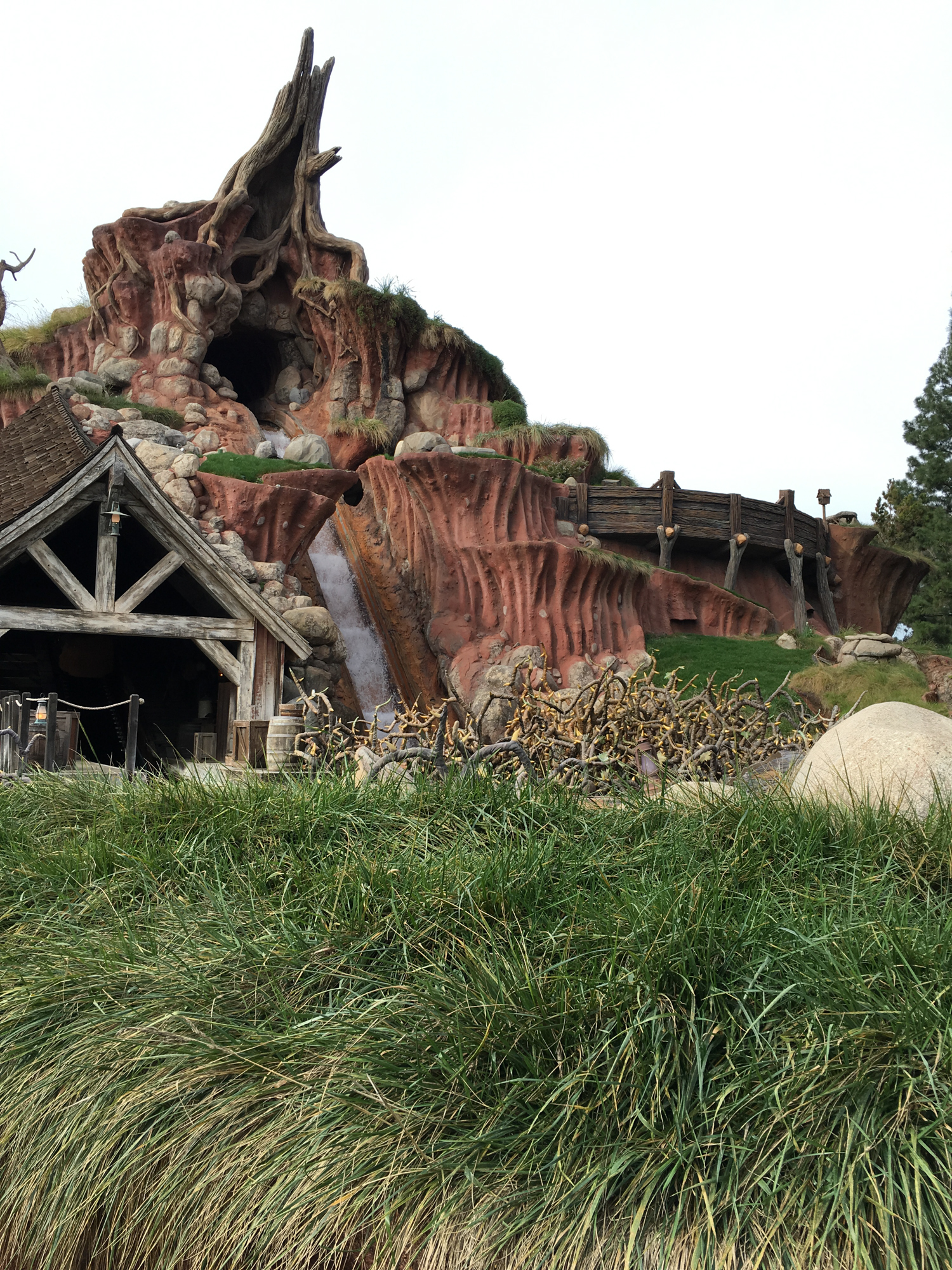 Splash Mountain: A Tale of Survival