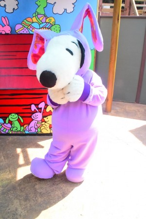 Why You Shouldn’t Miss the Boysenberry Festival at Knott’s