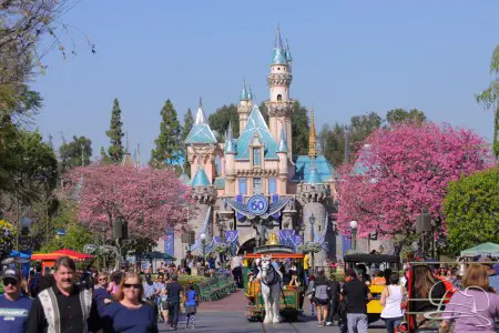 A Random Springtime Sunday at Disneyland