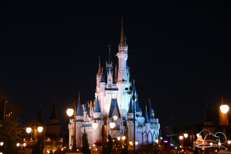 Walt Disney World Day 2 - Magic Kingdom-91