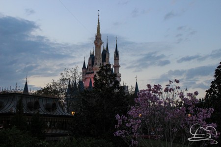 Club 33 Coming to Walt Disney World Resort Theme Parks