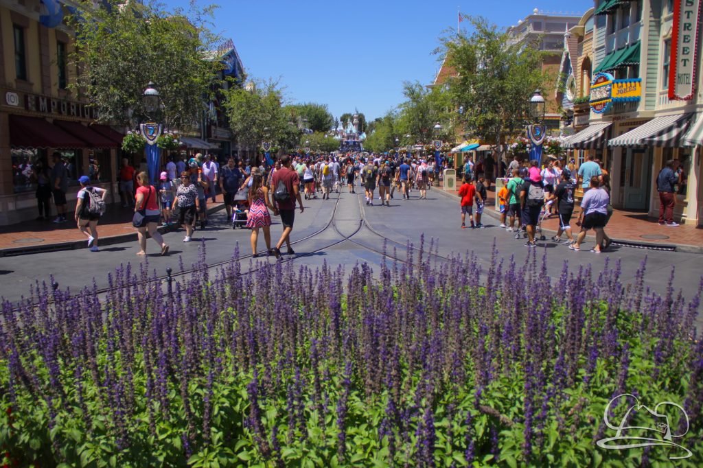 There was a stead hum of people on Main Street, USA but it was easy to navigate. 