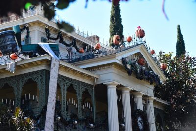 Halloween Time – Sundays with DAPs