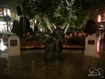 Storytellers Statue on a Rainy Night at the Disneyland Resort