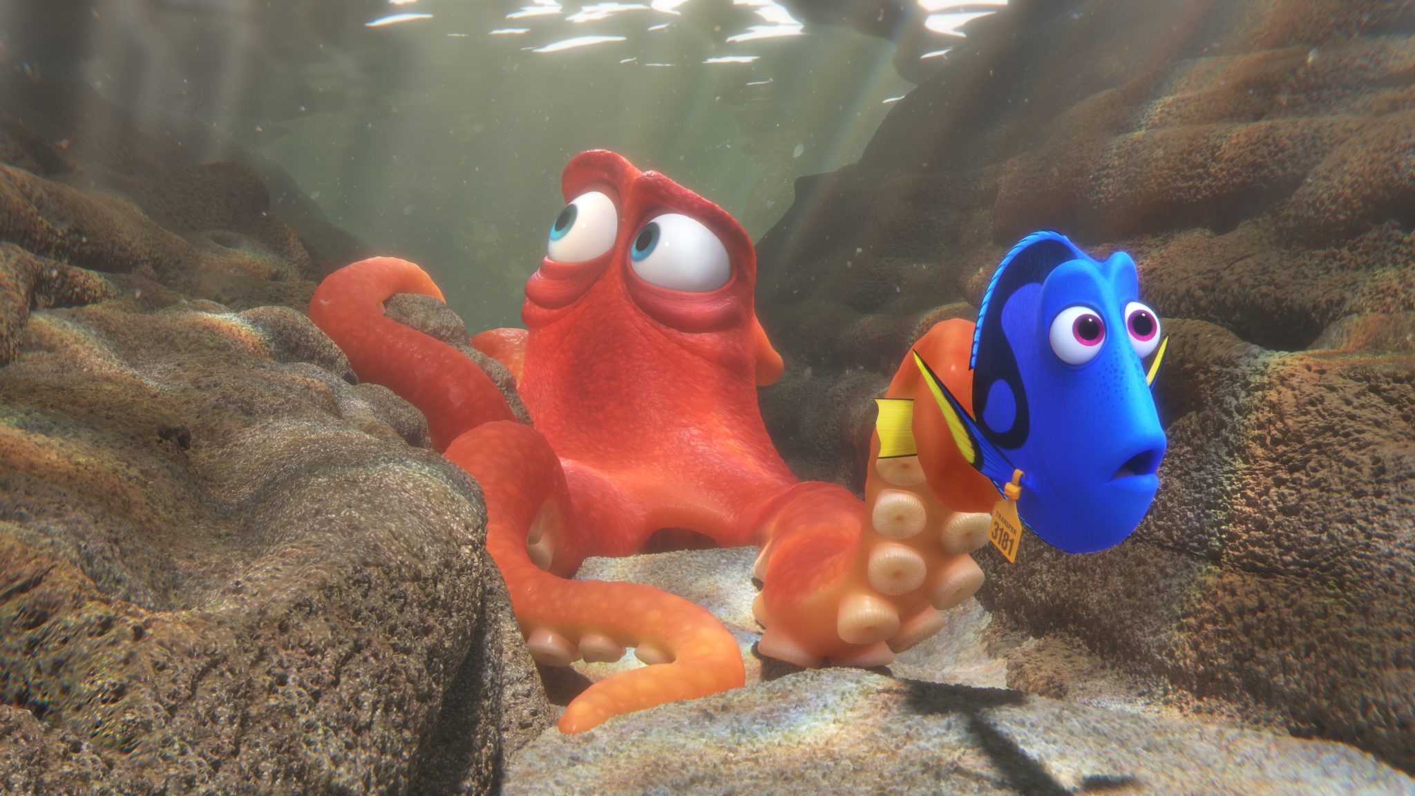 Celebrate World Septopus Day with Hank from Disney-Pixar’s Finding Dory!