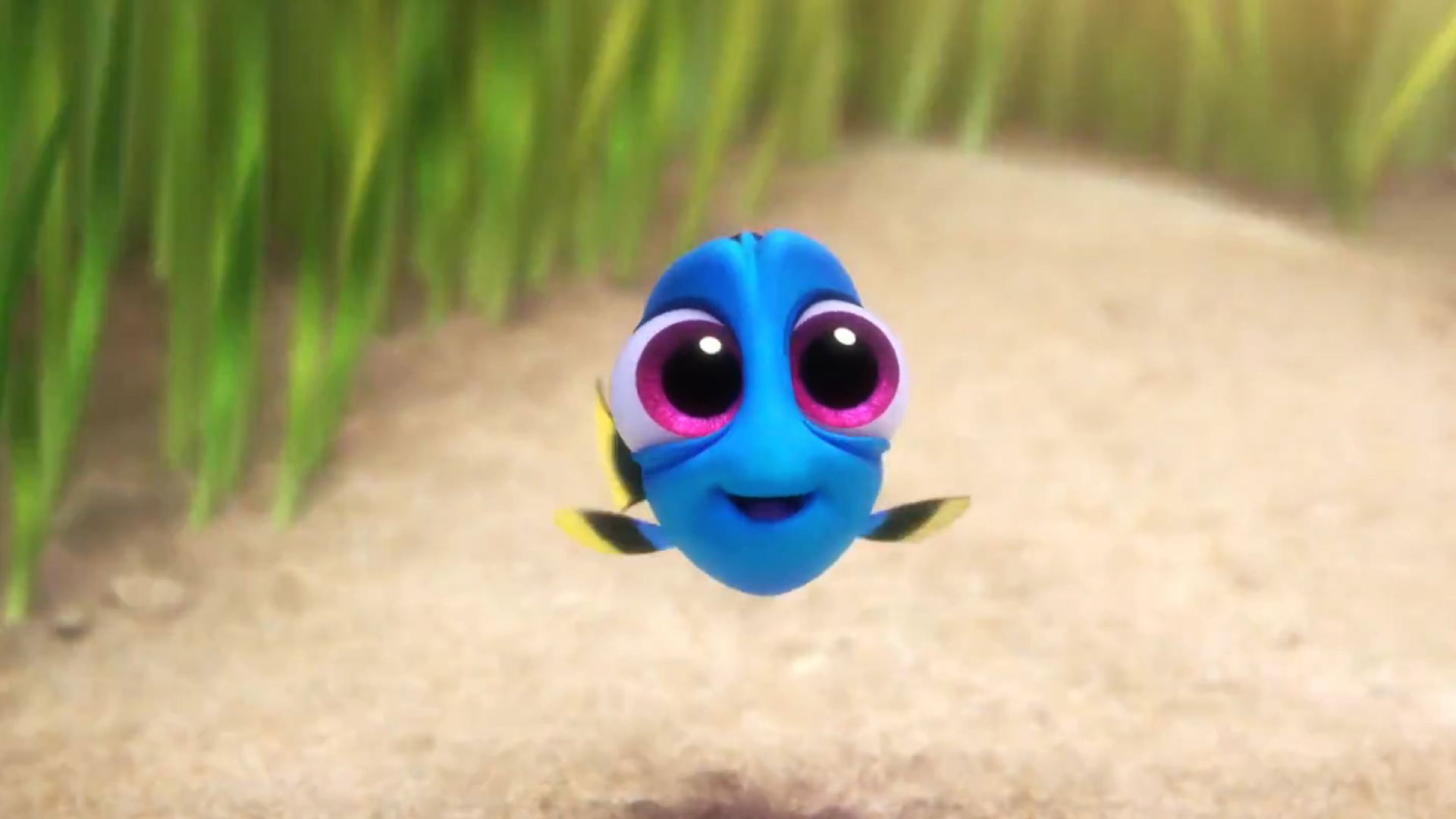 Finding Dory - Baby Dory