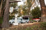 ASIMO and Bird go on a road trip in Tomorrowland at Disneyland's Autopia