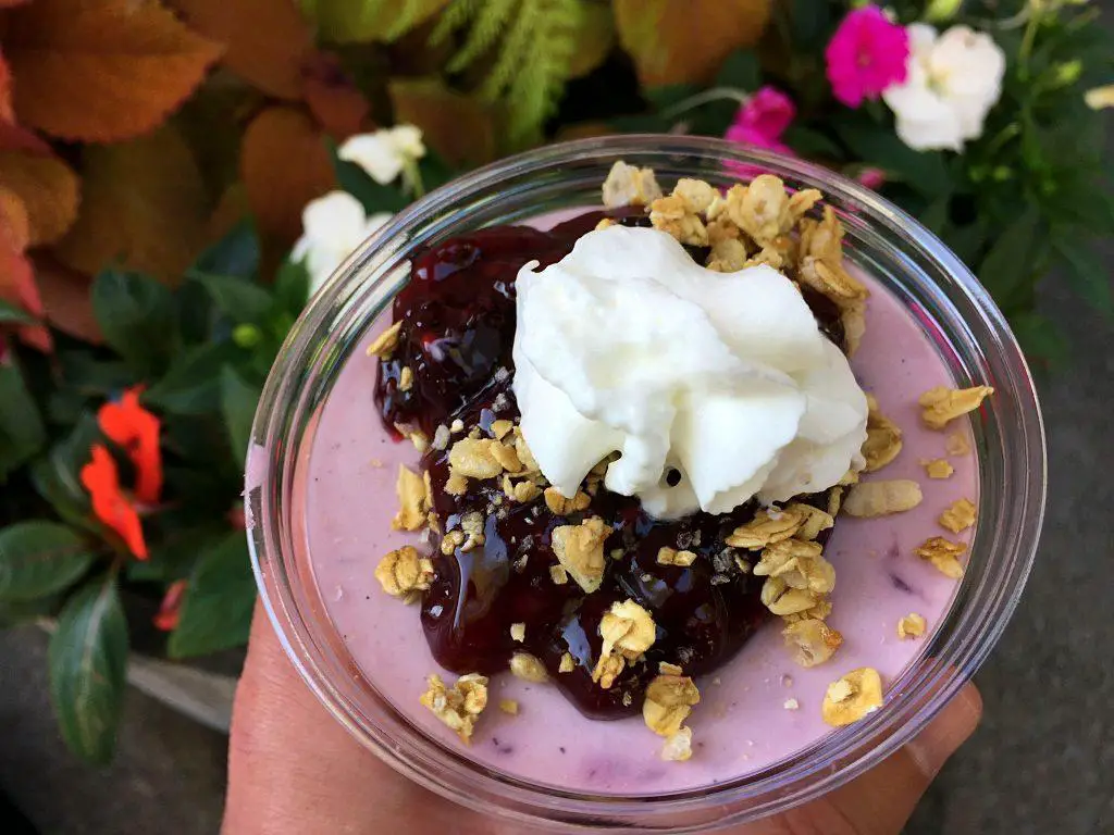 Knott's Berry Farm Boysenberry Festival - Boysenberry Panna Cotta