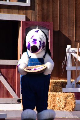 A Bigger and Better Boysenberry Festival 2017 at Knott’s Berry Farm