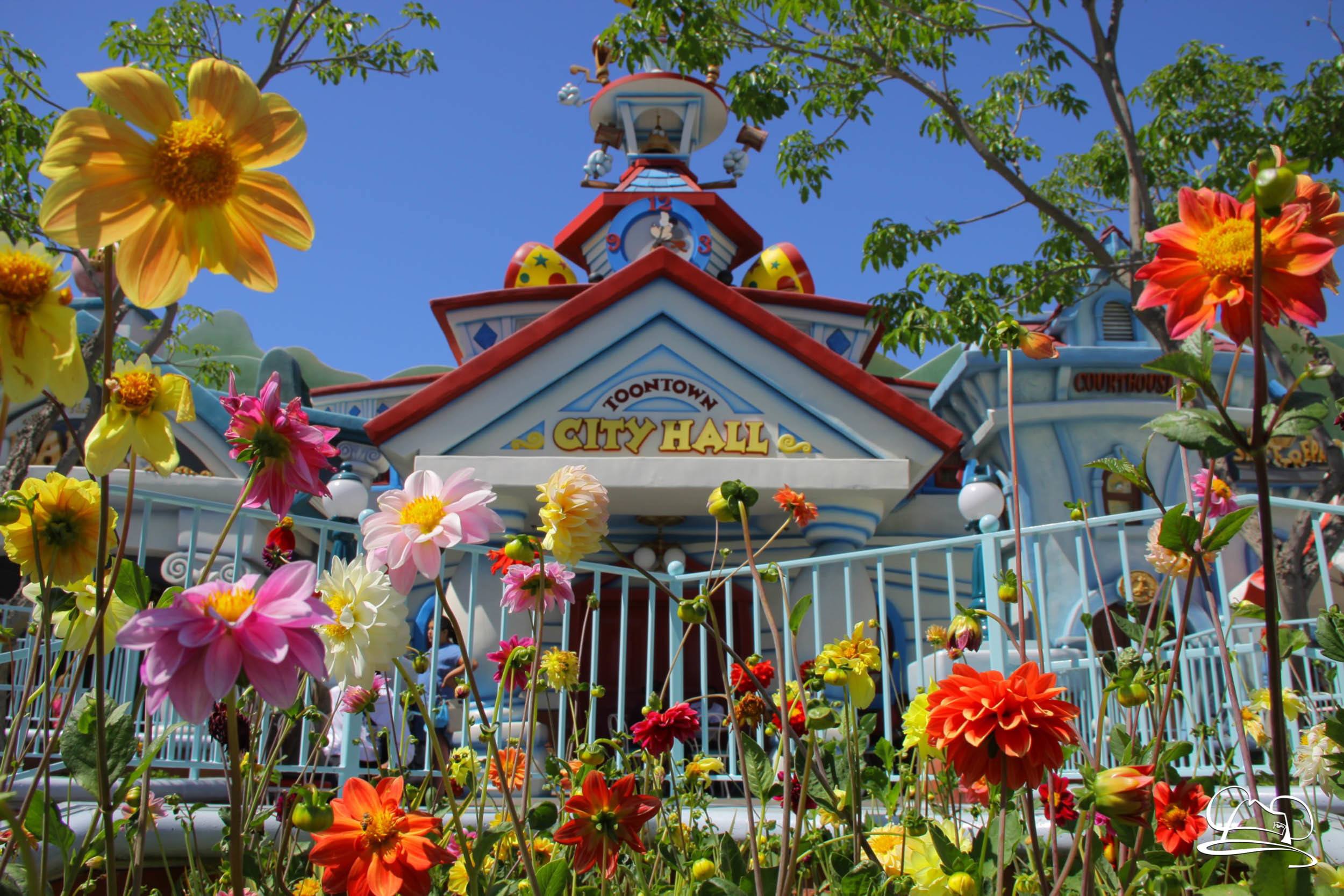 A Busy and Hot Sunday at Disneyland! – Sundays with DAPs Disneyland Photo and Video Update
