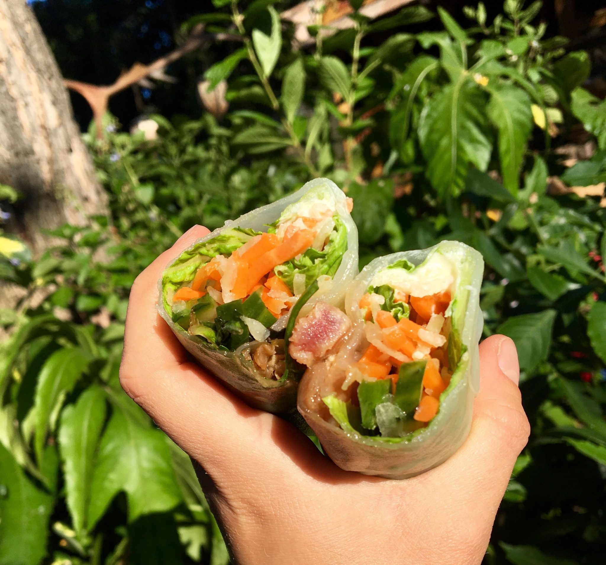 Ahi Poke Spring Roll and Hummus Trio Roll Out at Bengal Barbecue