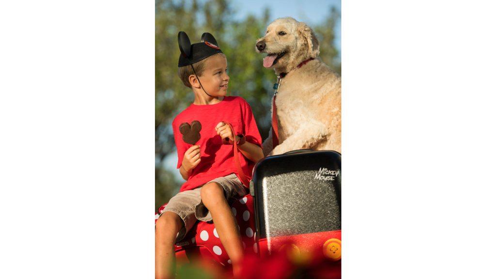 Dogs Welcome at Select Walt Disney World Resort Hotels