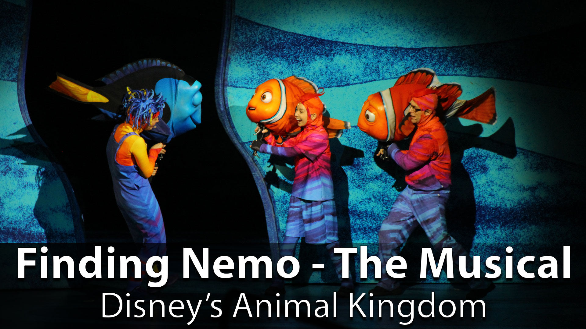 Finding Nemo – The Musical at Disney’s Animal Kingdom