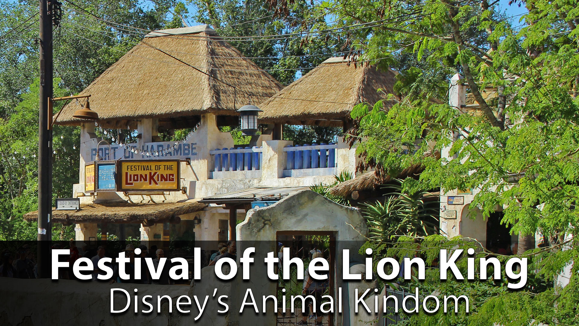 Festival of the Lion King at Disney’s Animal Kingdom