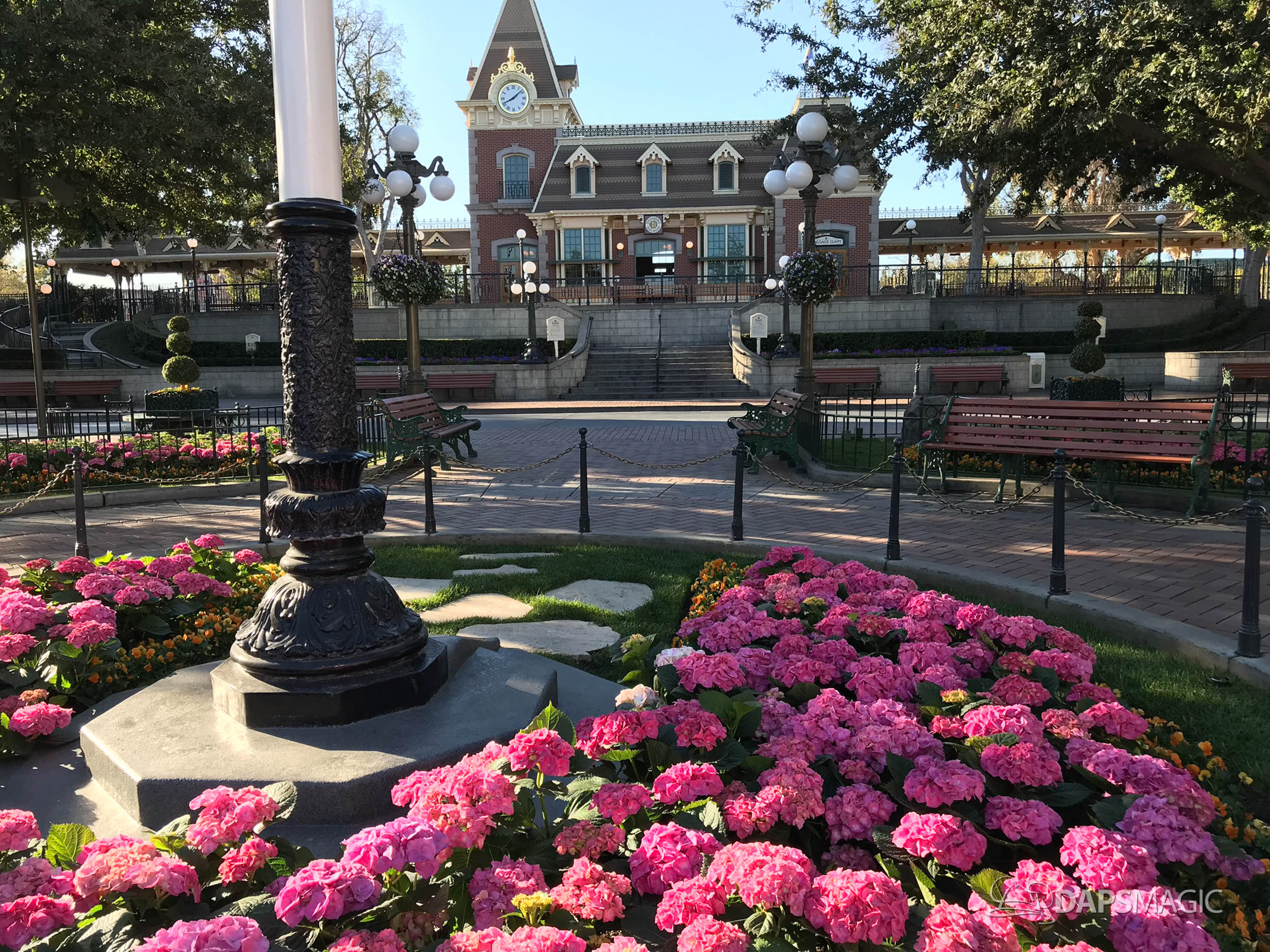 New Brick Around Streetcar Track Revealed as Town Square Walls Come Down at Disneyland