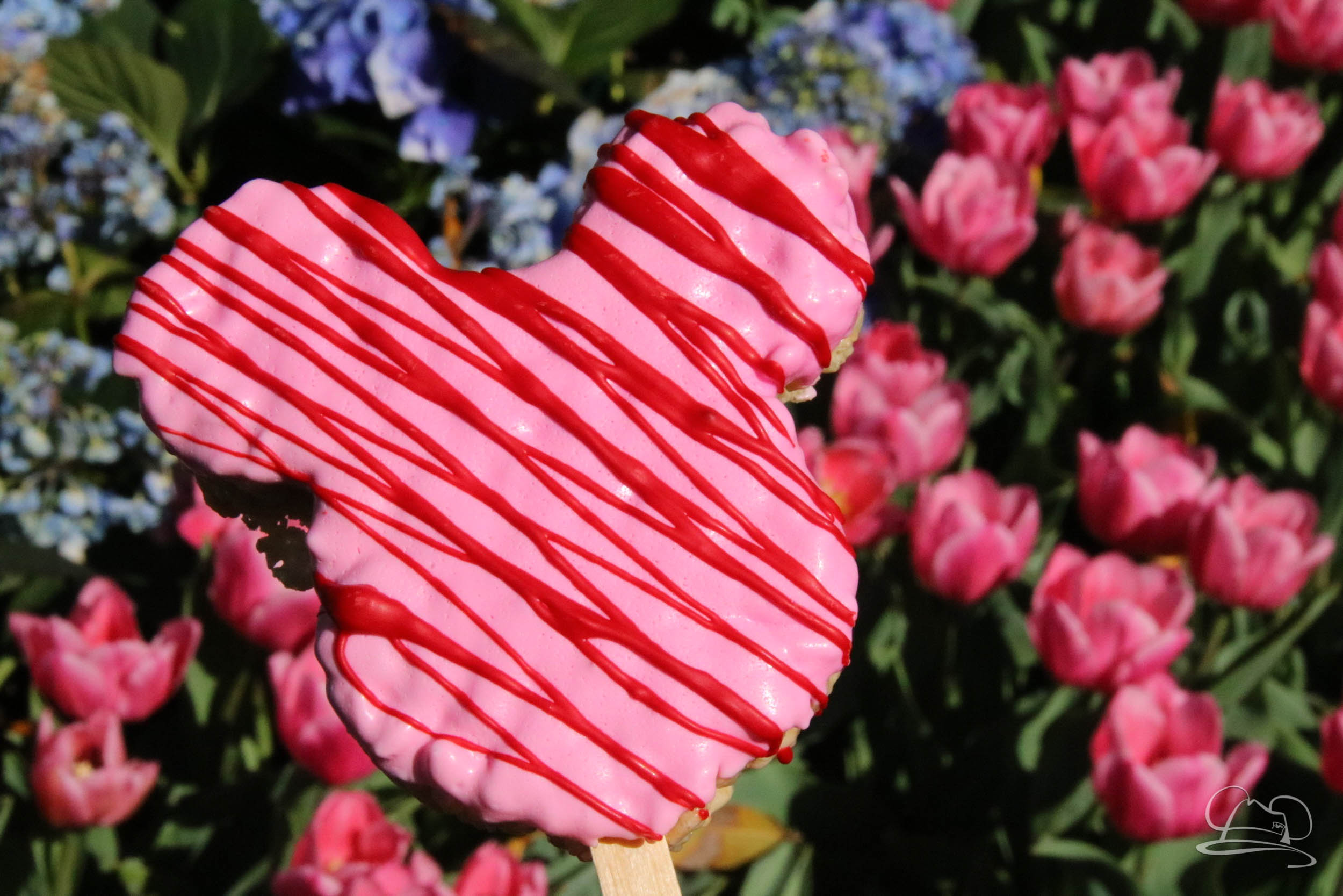 Valentine’s Day Sweet Treats Come to Disneyland Resort!