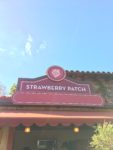 Strawberry Patch Booth - 2018 Disney California Adventure Food and Wine Festival