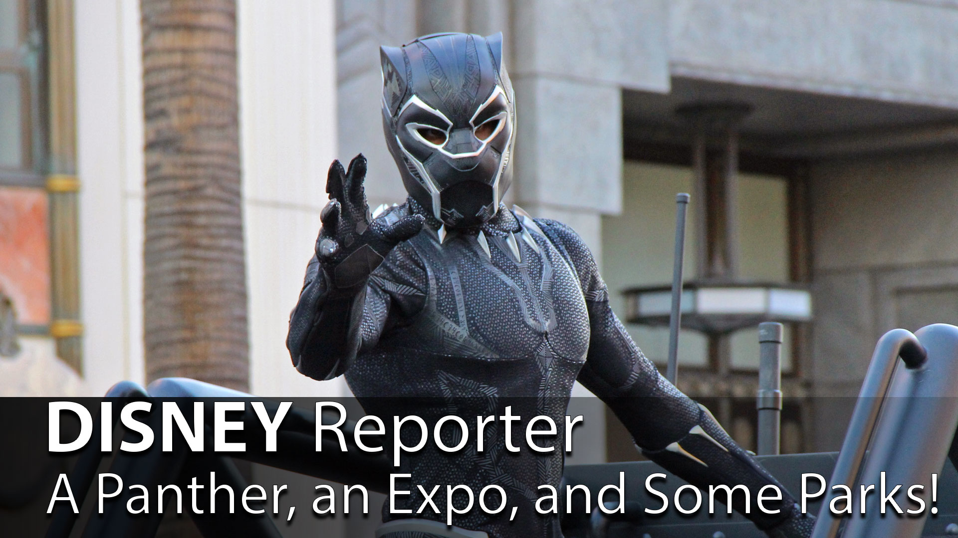 A Panther, an Expo, and Some Parks! – DISNEY Reporter