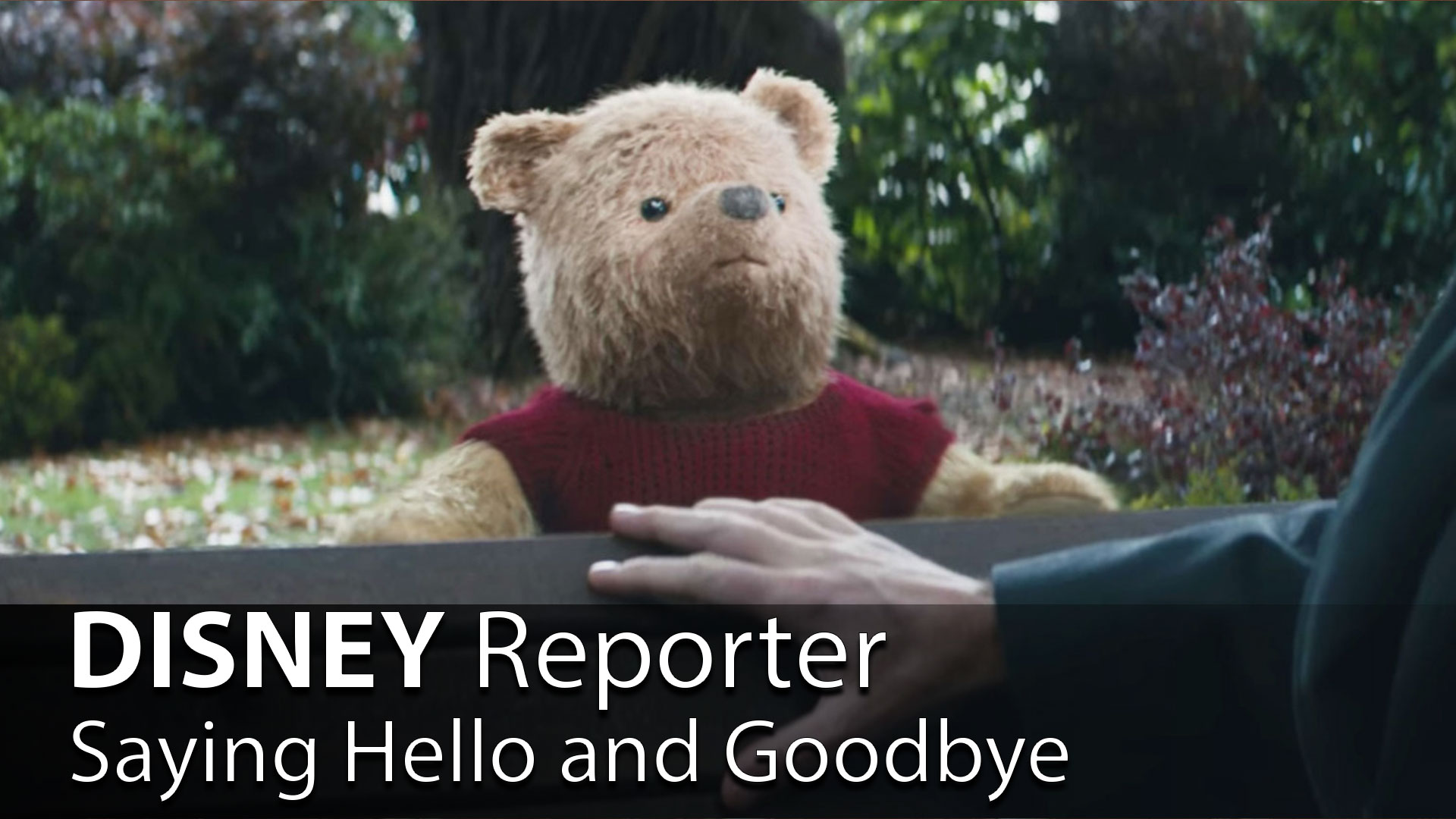 Saying Hello and Goodbye - DISNEY Reporter