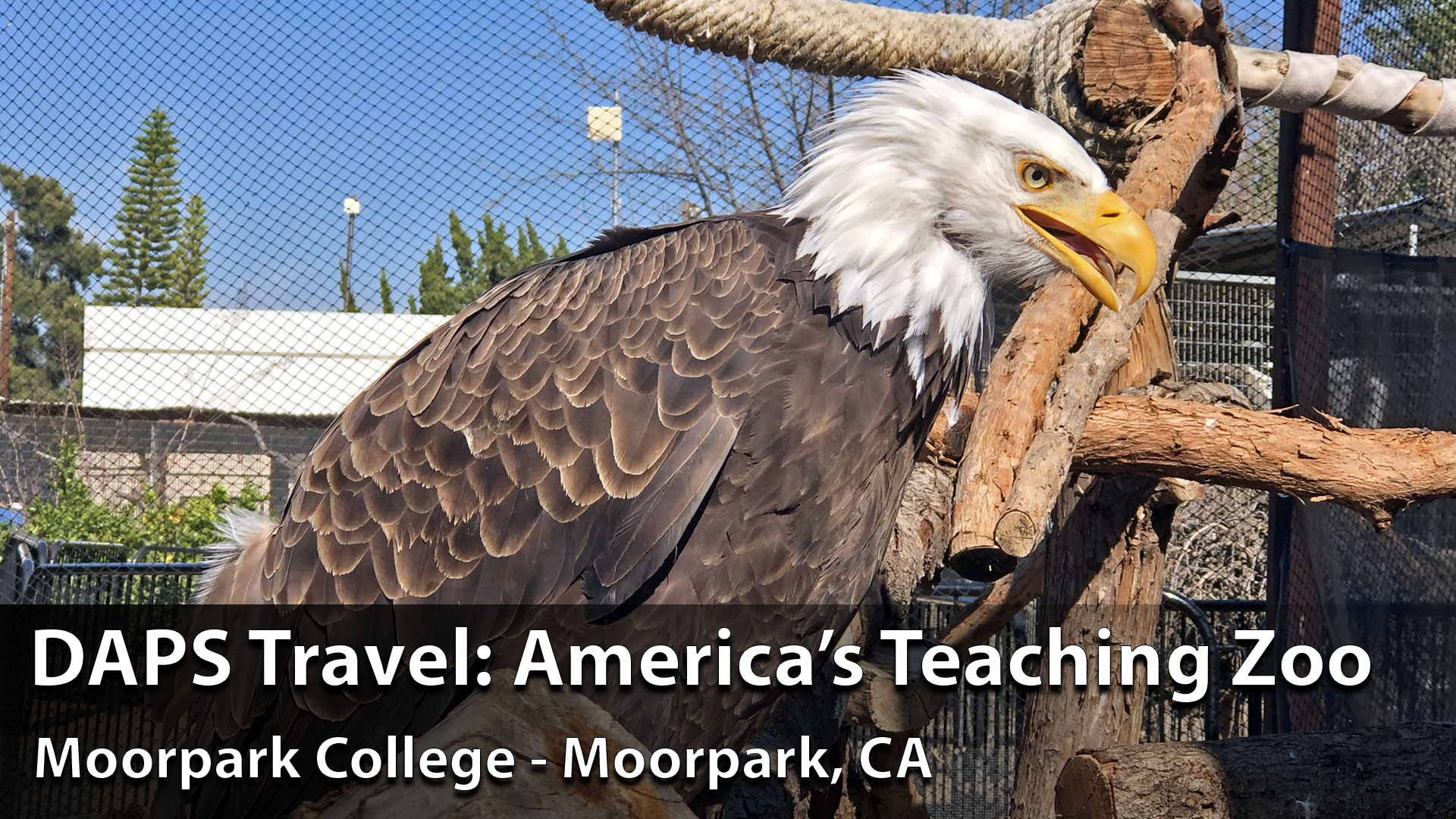 America’s Teaching Zoo: DAPS Travel