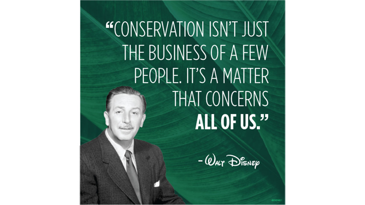 Disney Goes Even Greener as it Expands Conservation Efforts