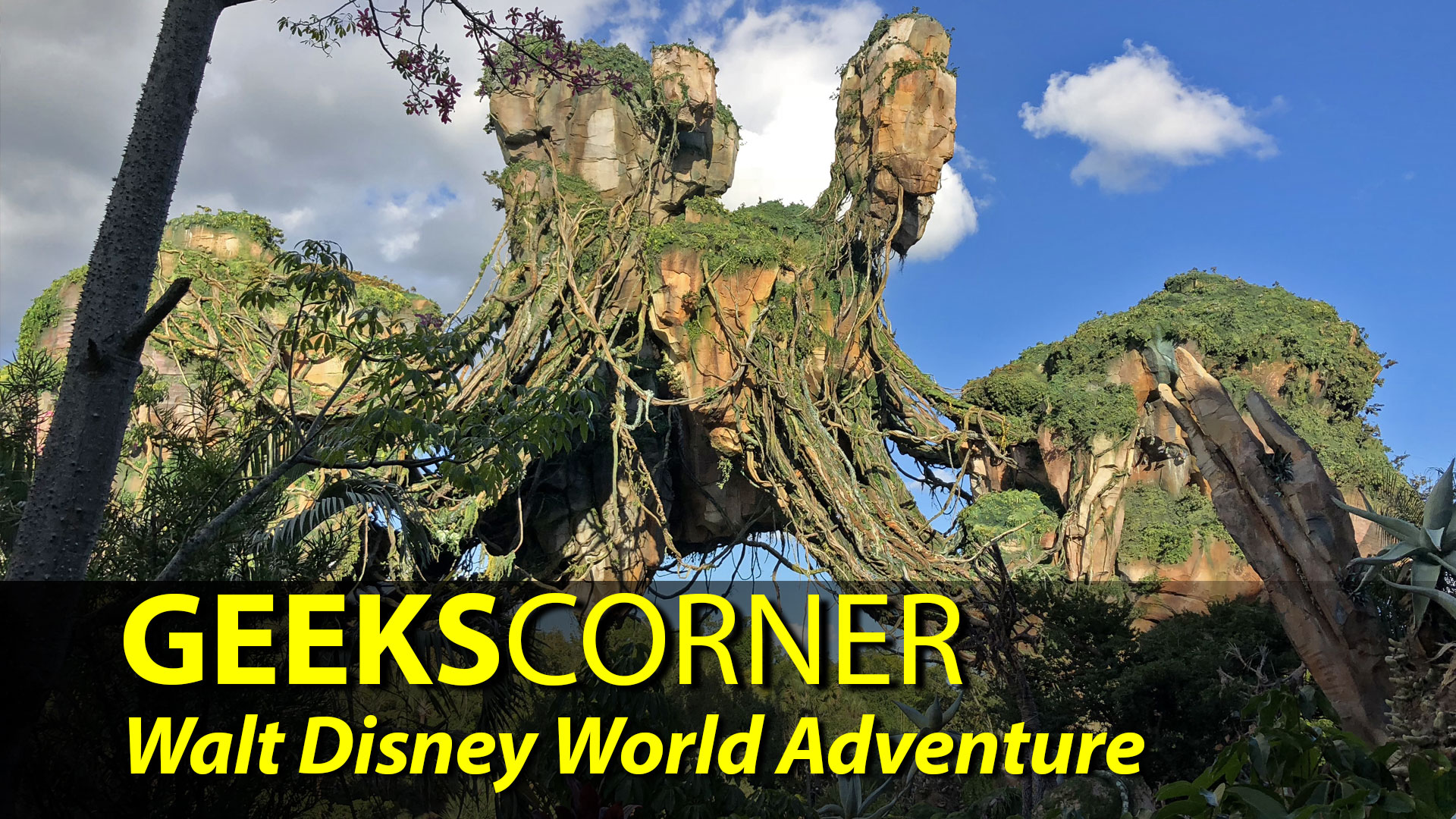 Walt Disney World Adventure – GEEKS CORNER – Episode 903