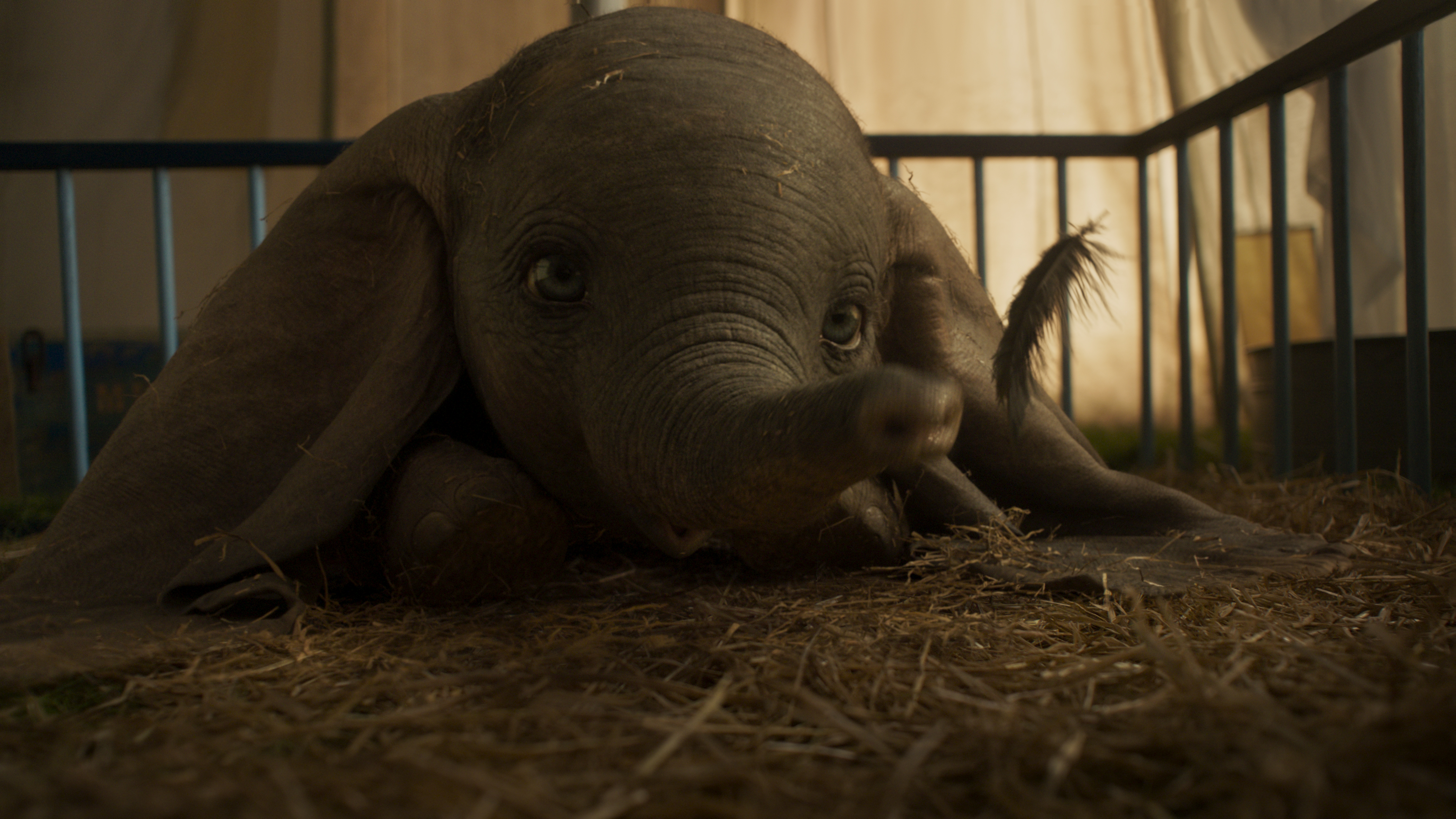 Disney Releases New Trailer, Poster, and Images for Dumbo!