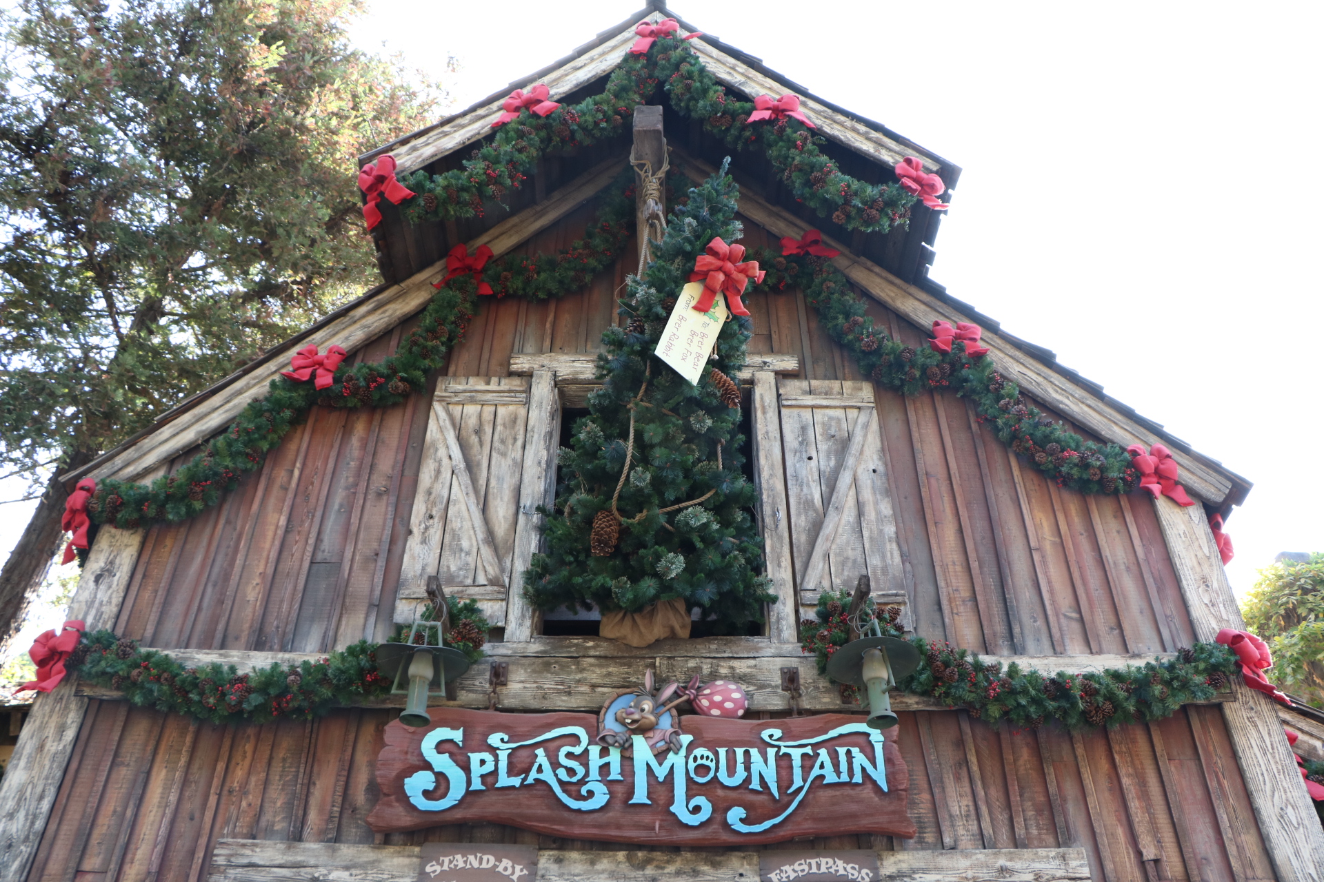 Get in the Holiday Spirit and Take a Look at the Christmas Trees of the Disneyland Resort!