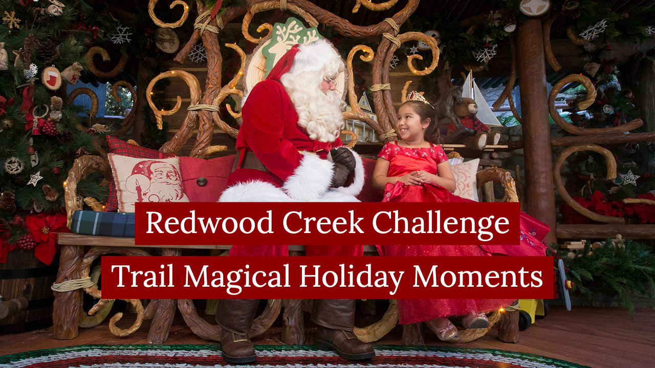 Redwood Creek Challenge Trail Magical Holiday Moments – Sundays with DAPs