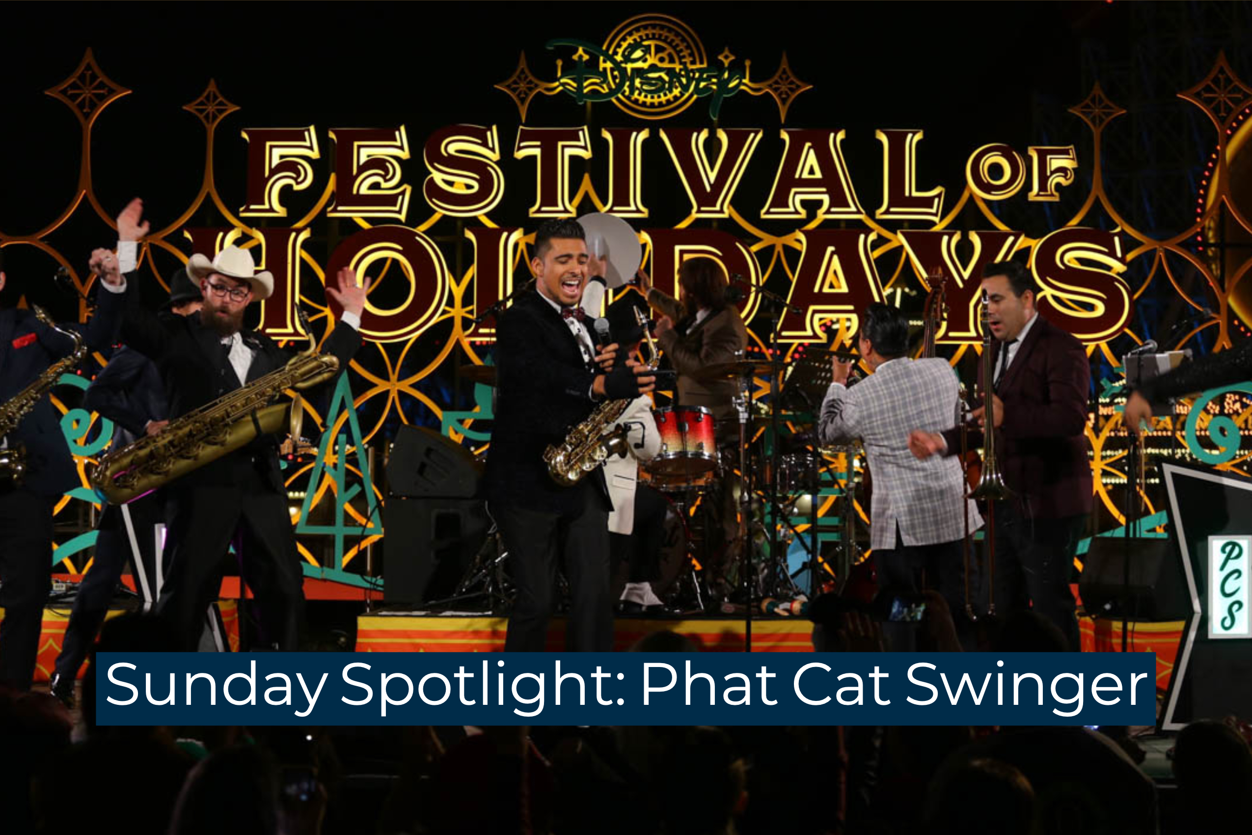 Sunday Spotlight: Phat Cat Swinger
