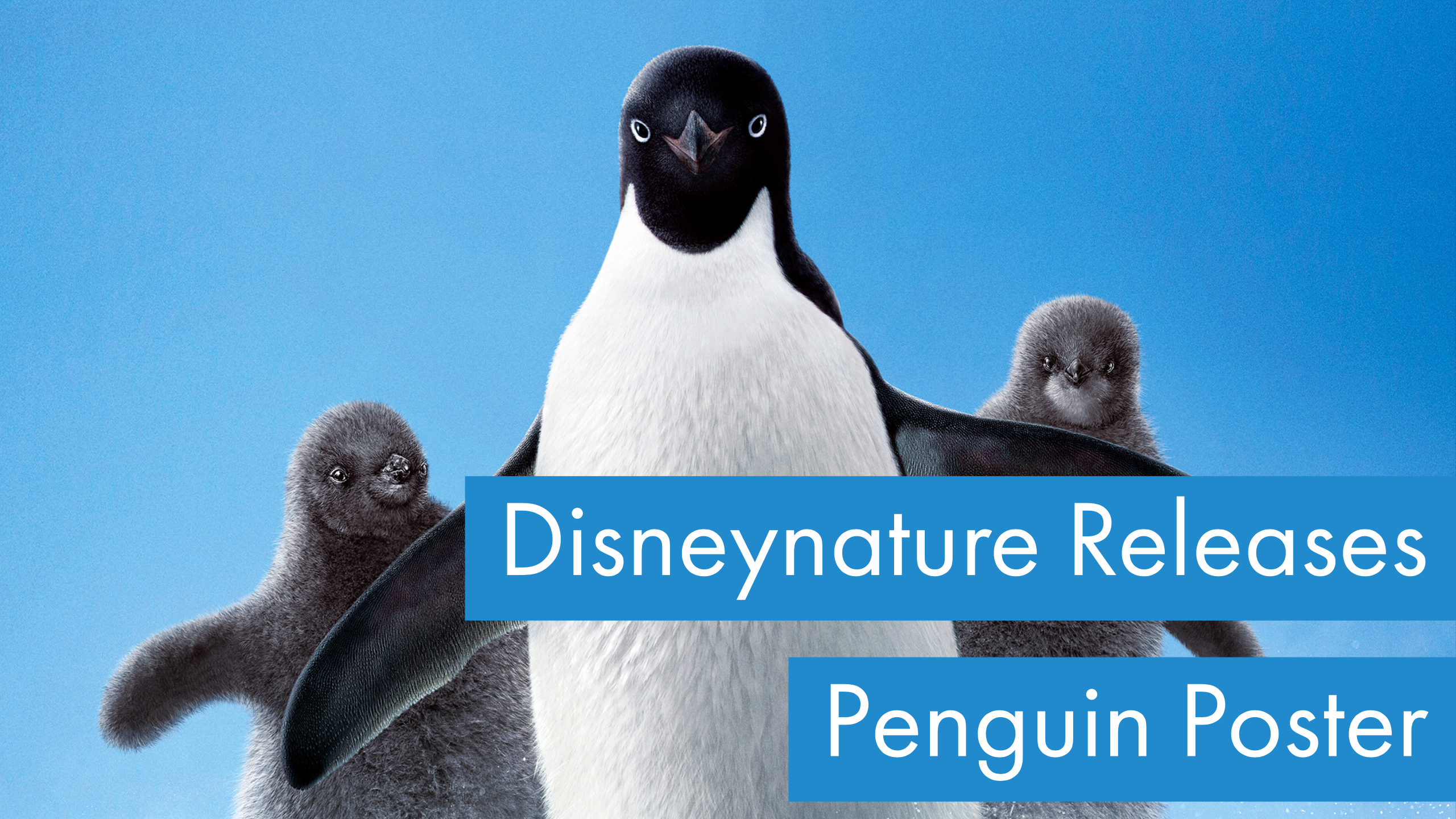 Disneynature Releases Poster for Upcoming Penguins Feature on First Day of Winter