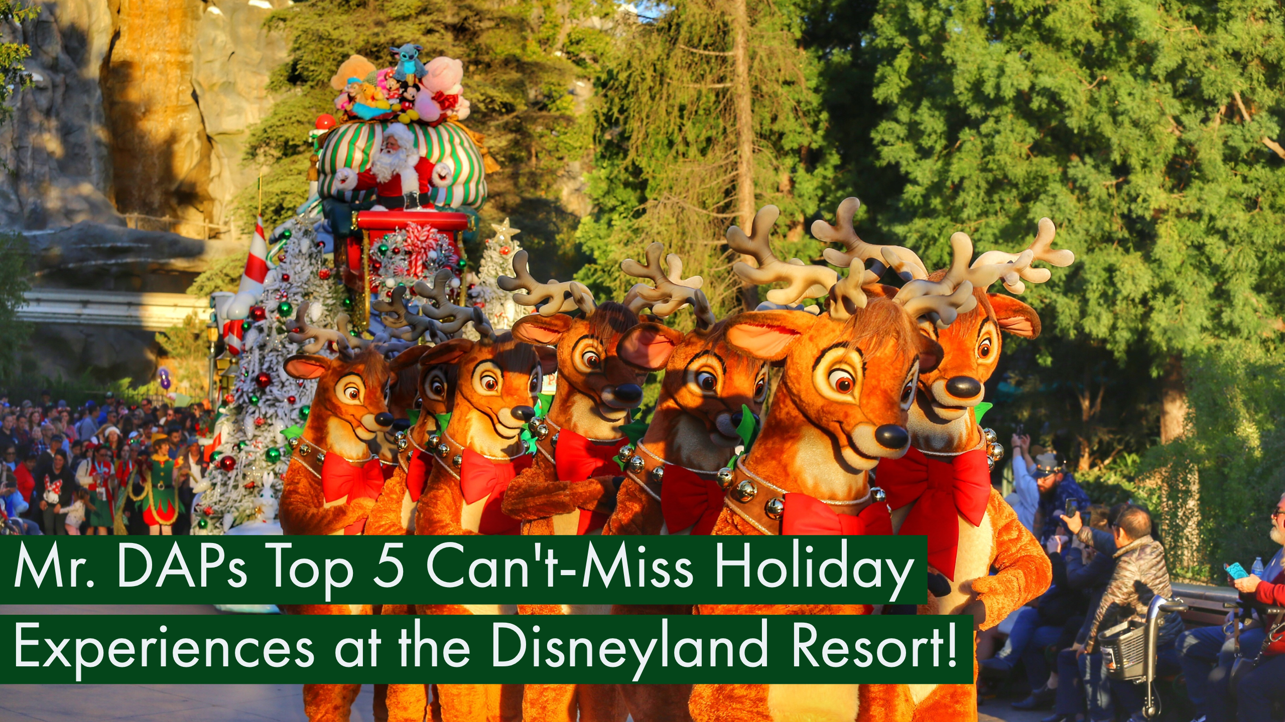 Mr. DAPs Top 5 Can’t-Miss Holiday Experiences at the Disneyland Resort!