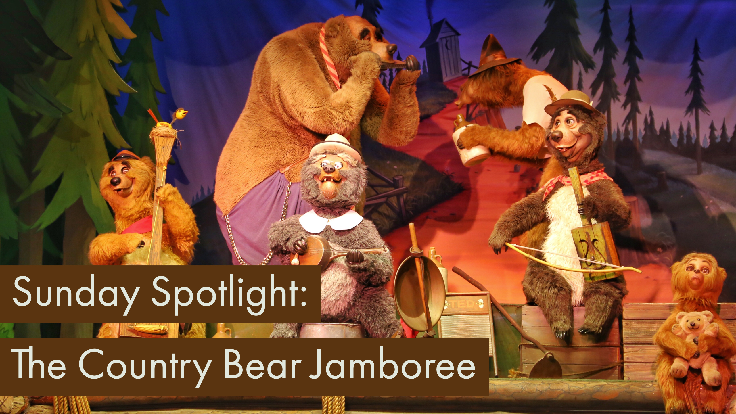 Sunday Spotlight: The Country Bear Jamboree