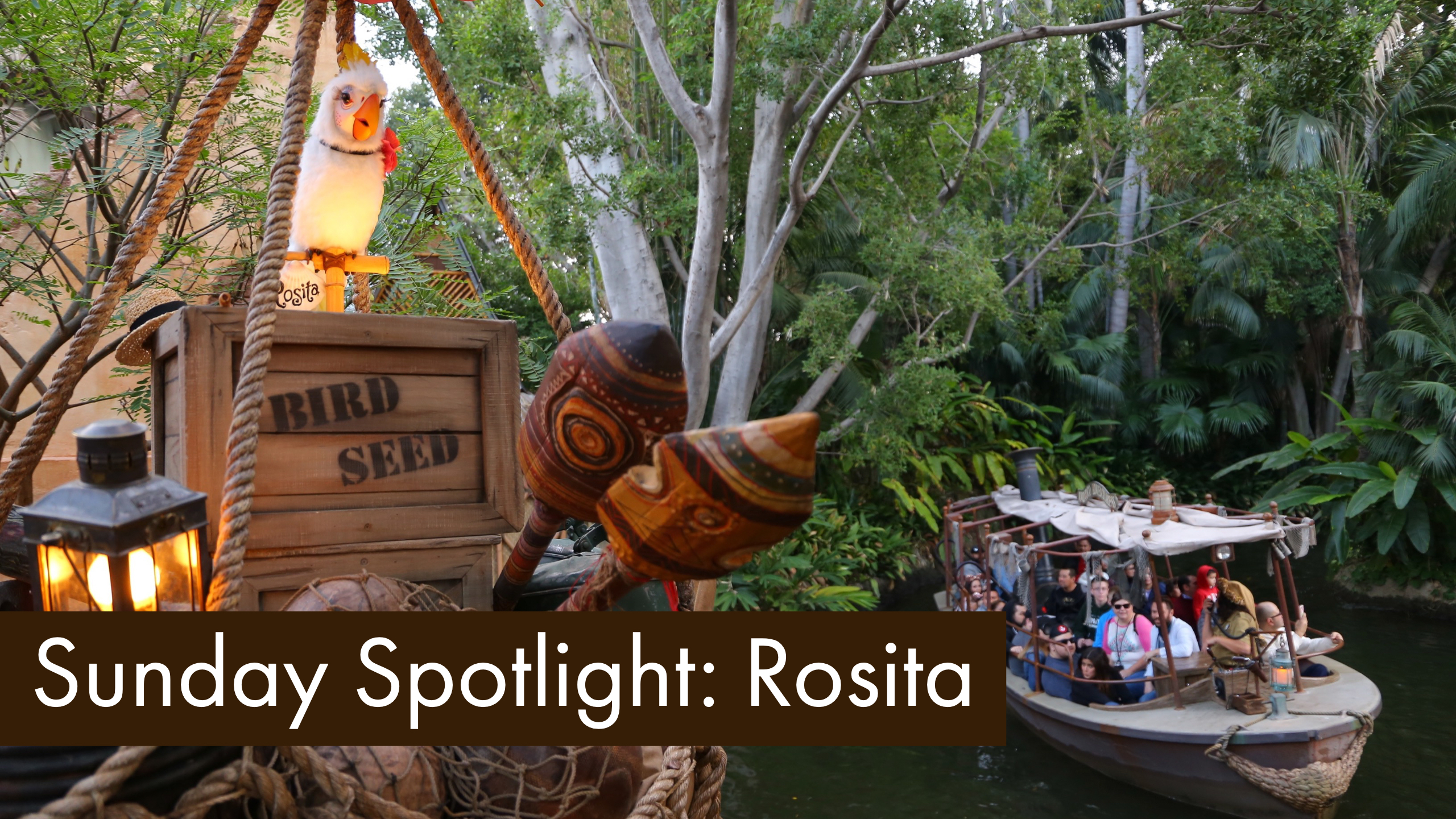 Sunday Spotlight: Rosita