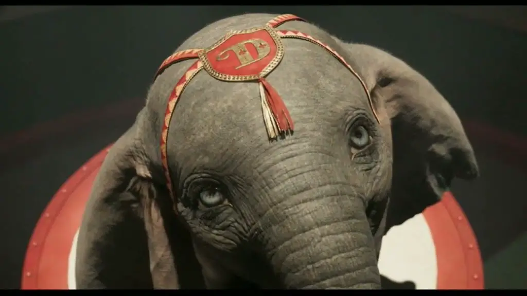 Dumbo