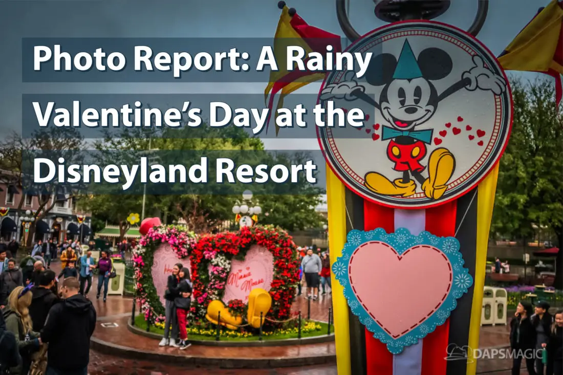 Photo Report: A Rainy Valentine’s Day at the Disneyland Resort