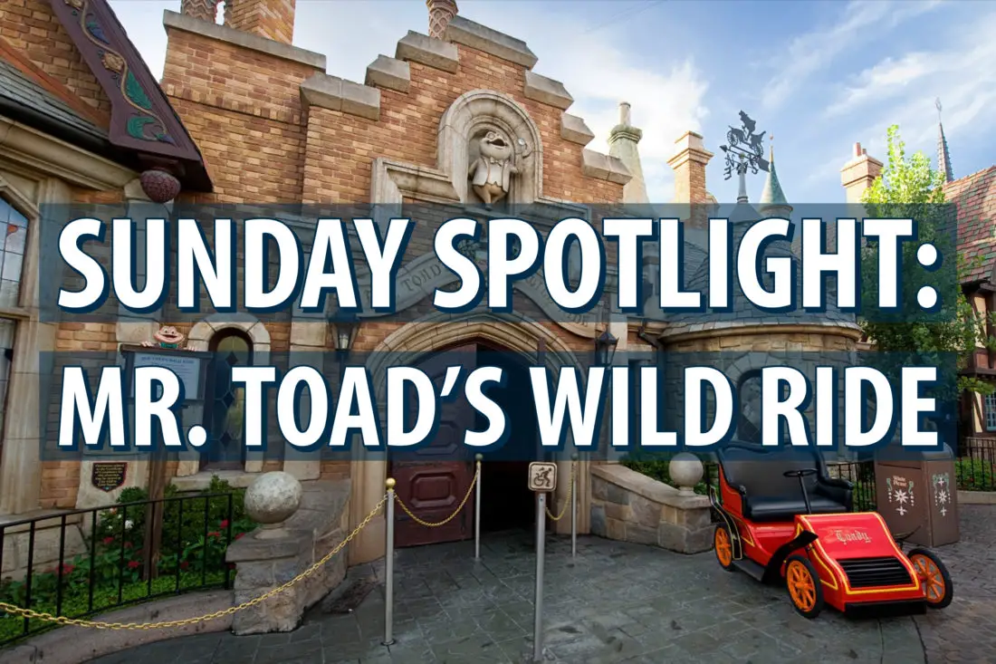 Sunday Spotlight: Mr. Toad’s Wild Ride