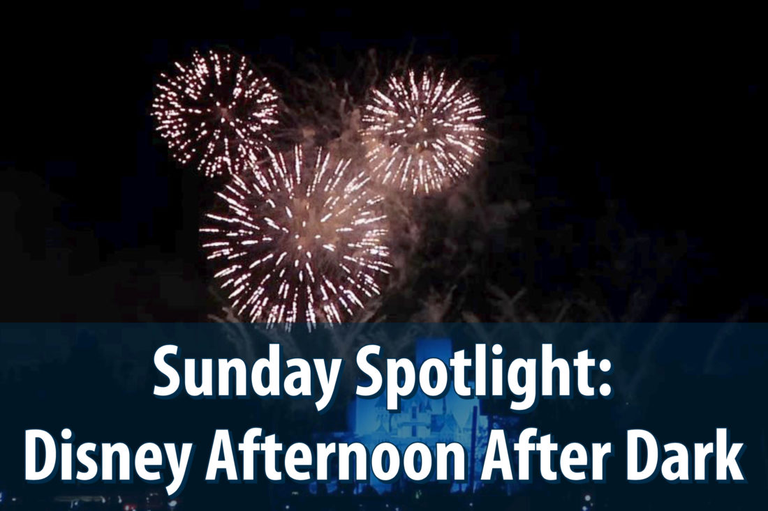 Sunday Spotlight: Disney Afternoon After Dark