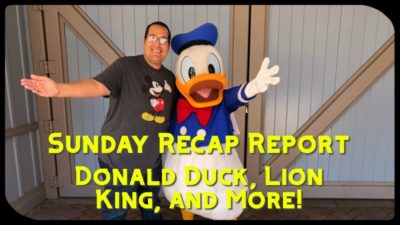 Sunday Recap Report – Donald Duck, Lion King, and More!