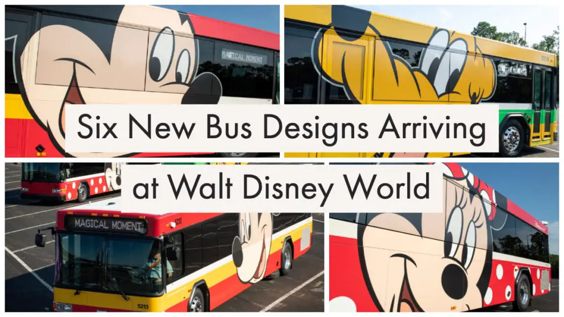 Six New Bus Designs Arriving at Walt Disney World