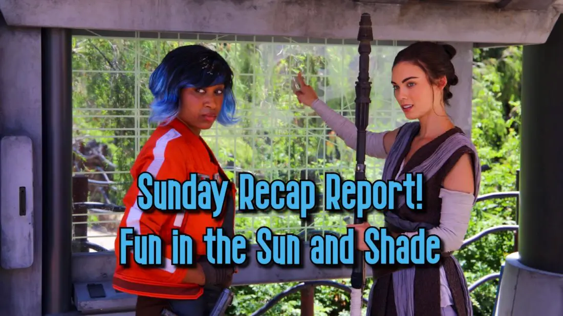 Sunday Recap Report – Fun In The Sun And Shade