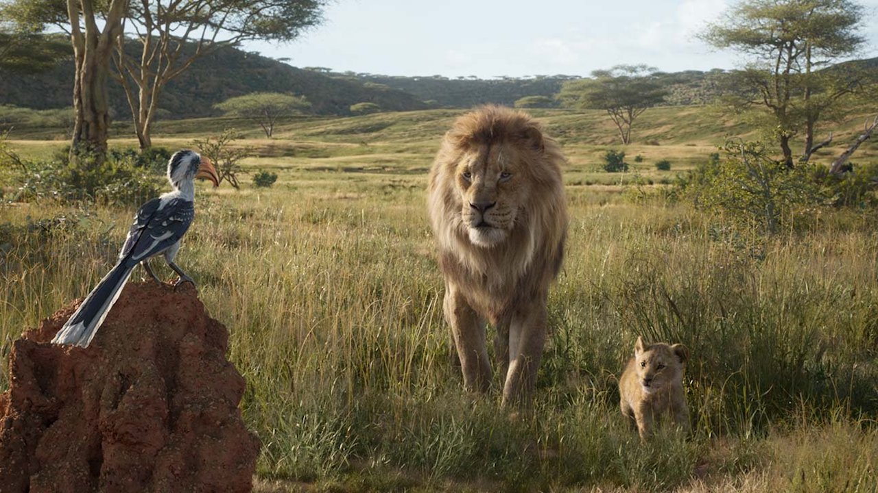 Barry Jenkins to Direct Live-Action The Lion King Sequel