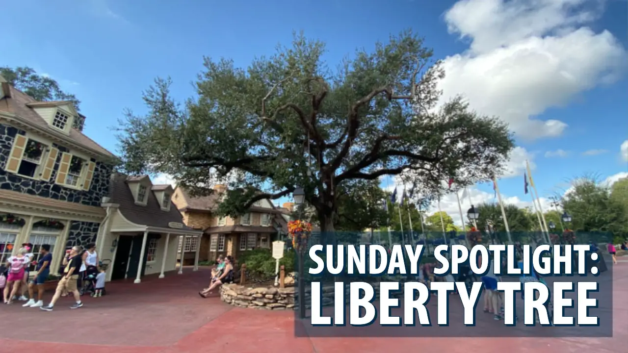 Sunday Spotlight: Liberty Tree in Liberty Square
