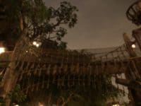 Tarzan's Treehouse Incident